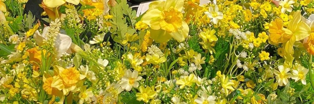 Dear My Yellow💛's banner