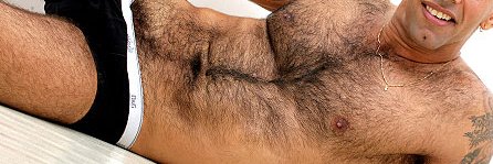 HOMENS PELUDOS / HAIRY PORN 🐻's banner