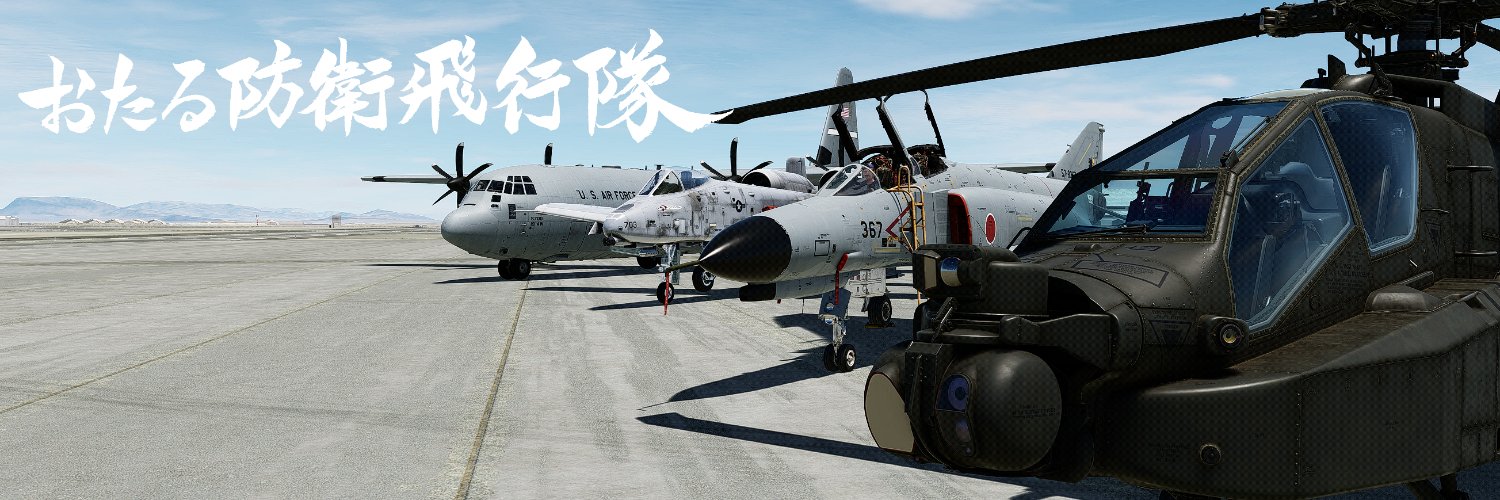 おたる防衛飛行隊's banner