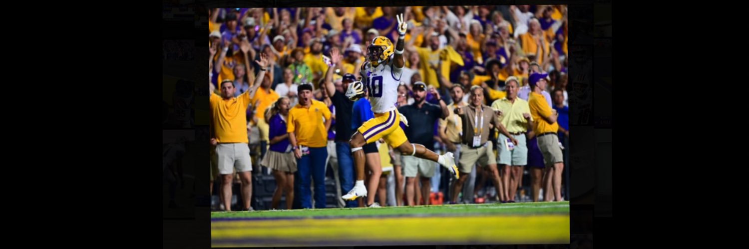 LSU Painted Posse's banner