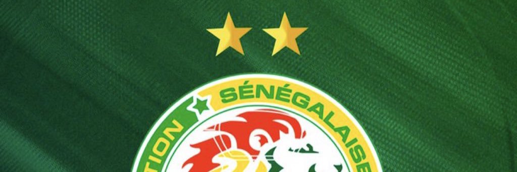 ✨DjekDiané 🇸🇳🇫🇷🇬🇳🌟🌟✨'s banner
