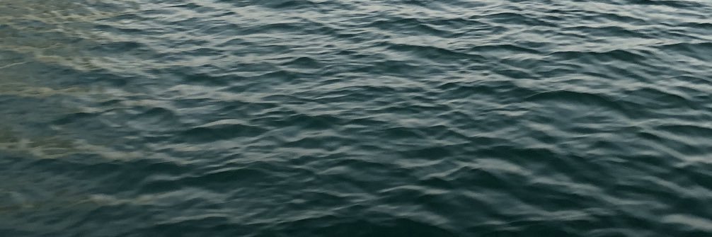 𝐘𝐞𝐥𝐥𝐨𝐰𝐚𝐯𝐞's banner