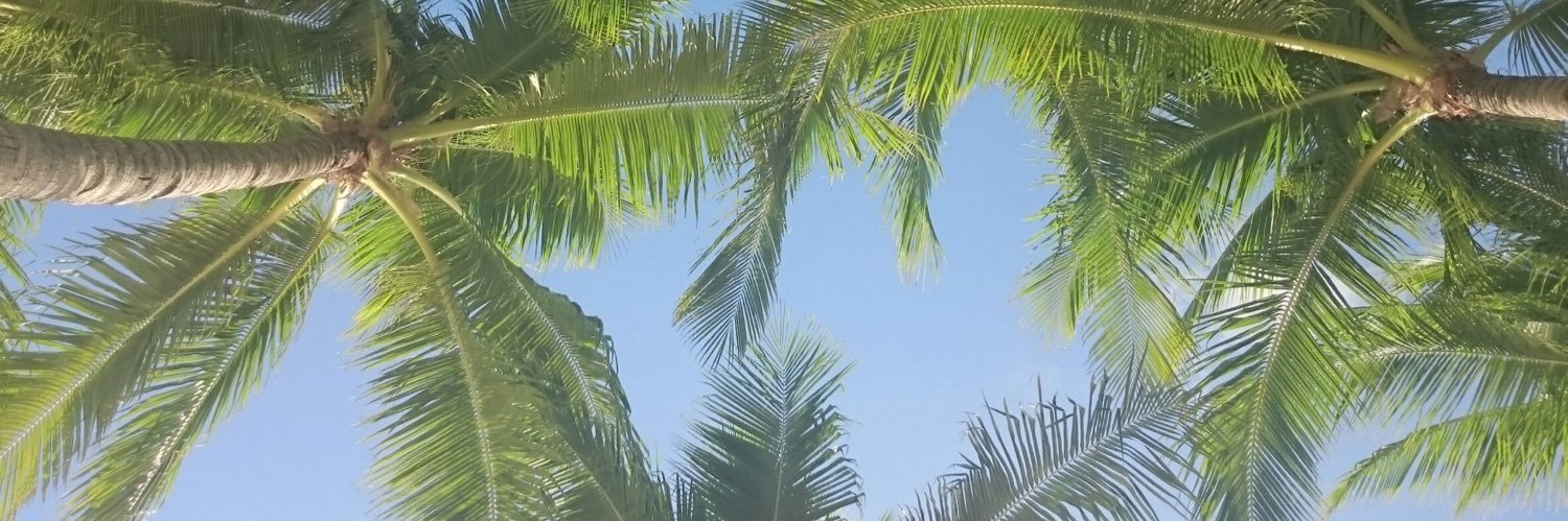 産後4ケ月胃癌ステージ4's banner