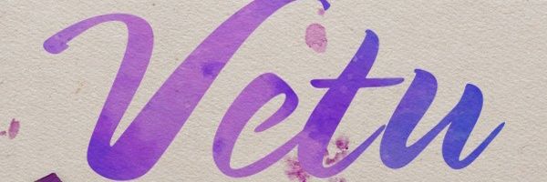 Ve Tu's banner