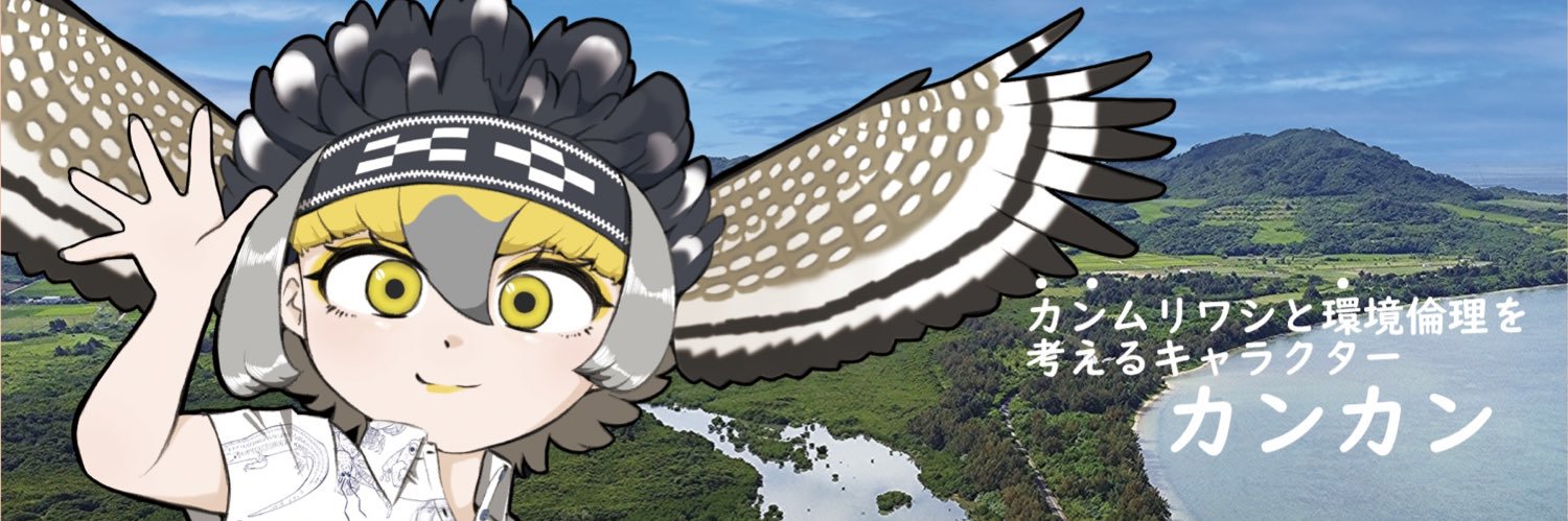石垣島 カンムリワシの里と森を守る会's banner