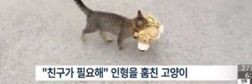 하파's banner