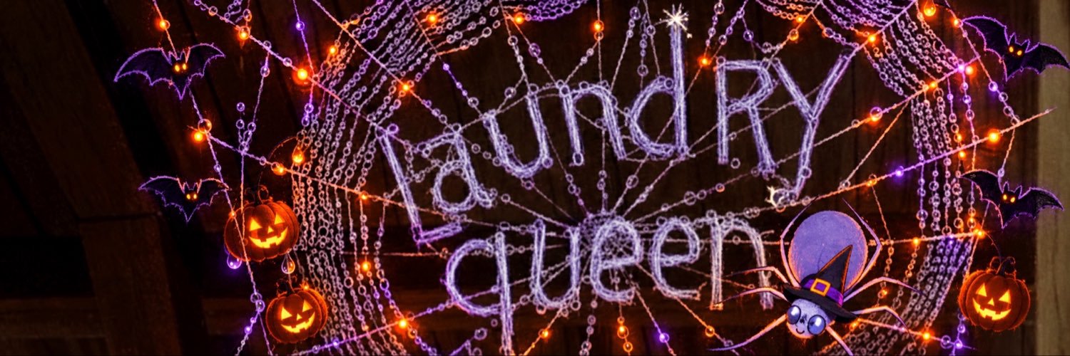laundry queen's banner