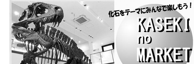 化石のマーケット（KASEKI no MARKET）【公式】's banner