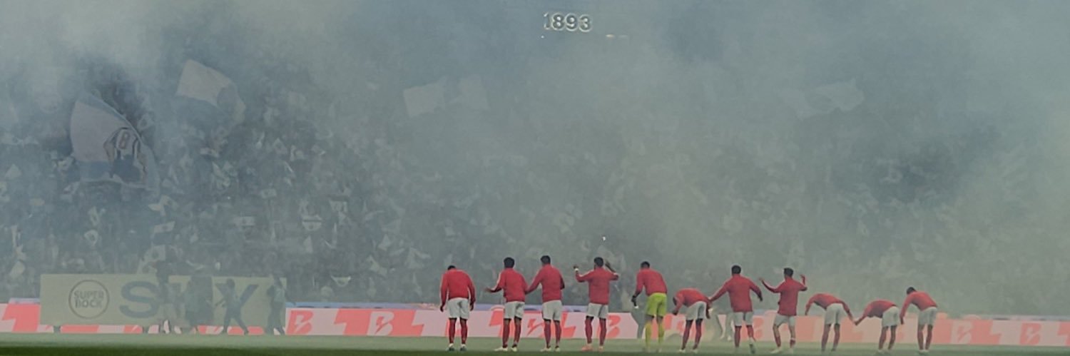 Zé Pincel's banner