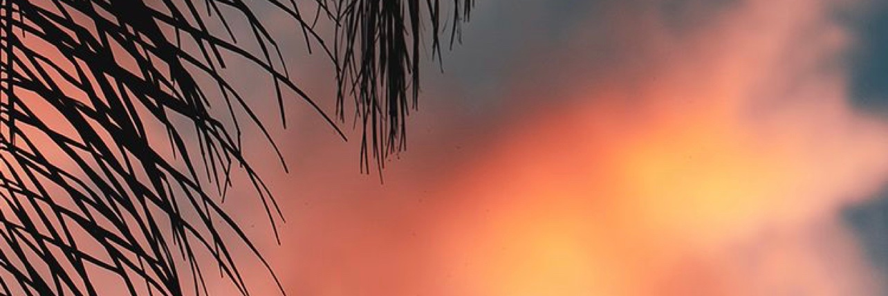 Itsashleymedina's banner