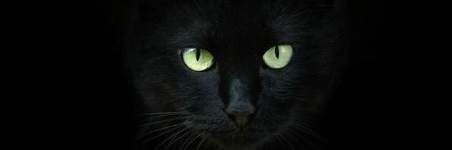 FabioZFZ9🐻🐺 Фабио ЗФЗ9's banner