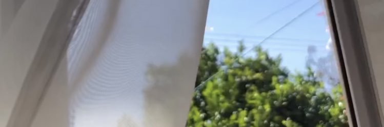 Harper's banner