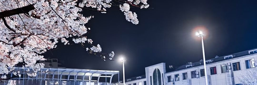 奈奈子超乖w's banner