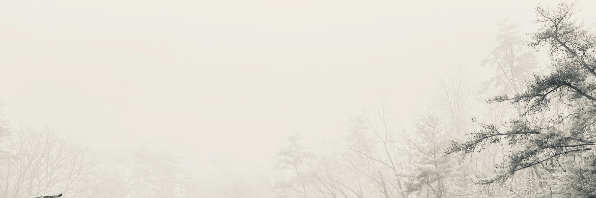付箋's banner