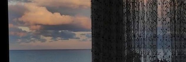 lenguine.🧜's banner