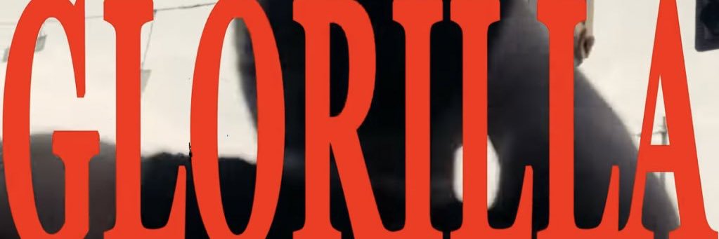 GloRilla Updates's banner