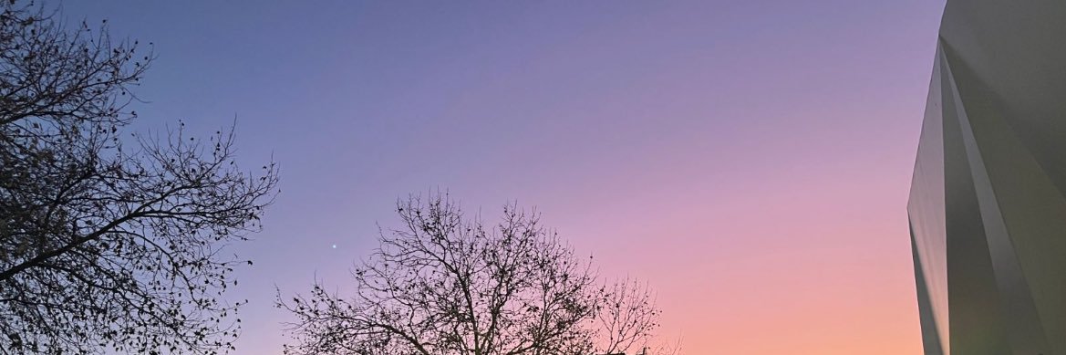 Evie🍊's banner