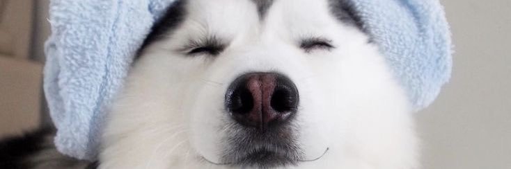Topten (ไม่มีวงเล็บ)'s banner