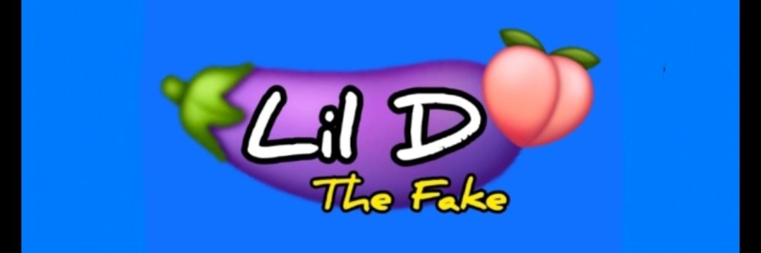 Lil D The Fake's banner