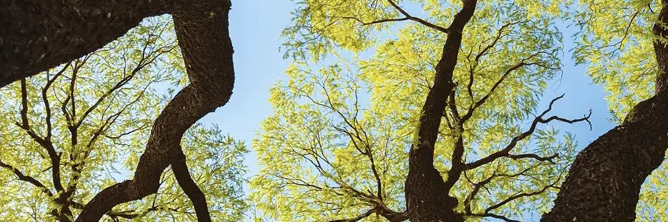 玉山县融媒体中心💯🔙's banner