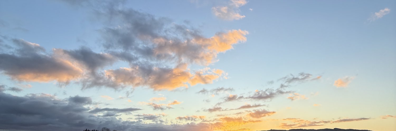Janiefit's banner