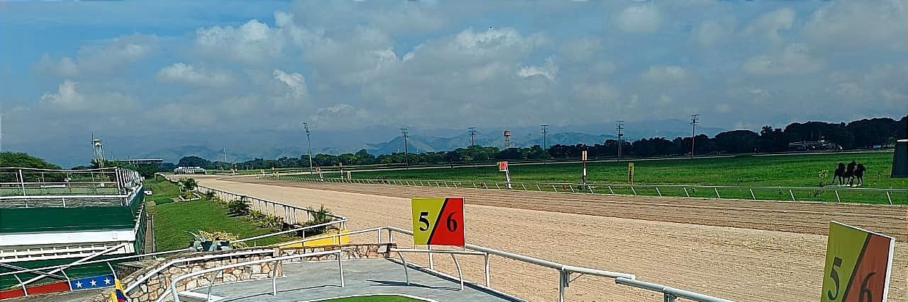 Parodia Hípica's banner