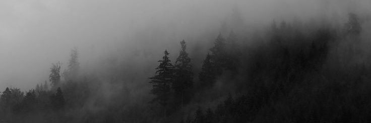 Saudade👑's banner