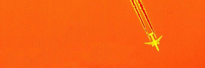 shaydee🐦‍🔥's banner
