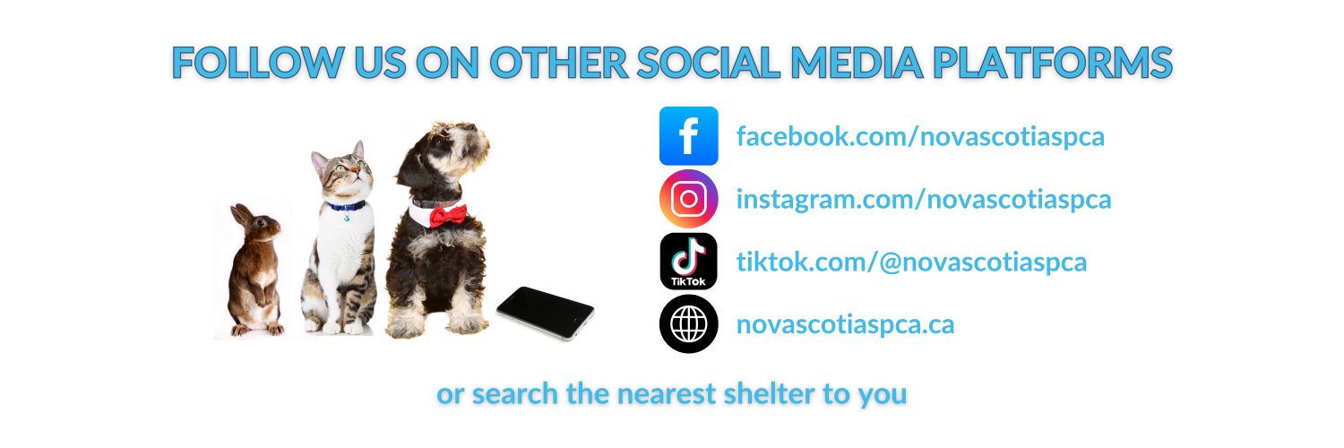 Nova Scotia SPCA's banner