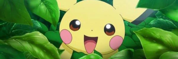 paiN memechun's banner