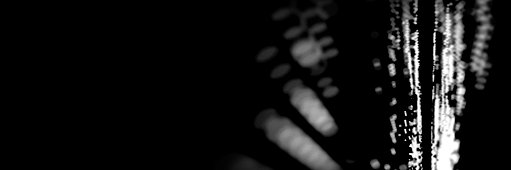 Mr|Mamba's banner