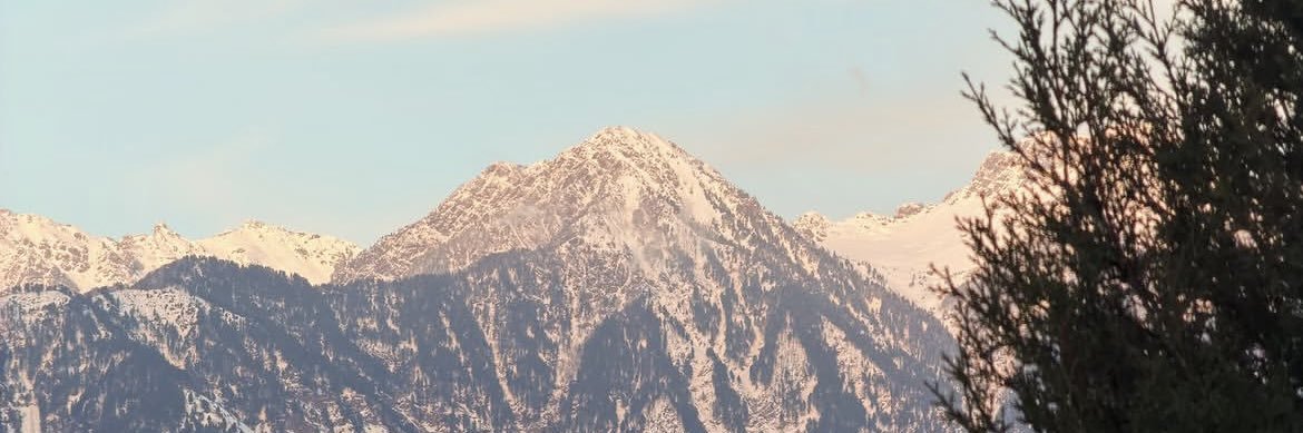 shutupyar's banner