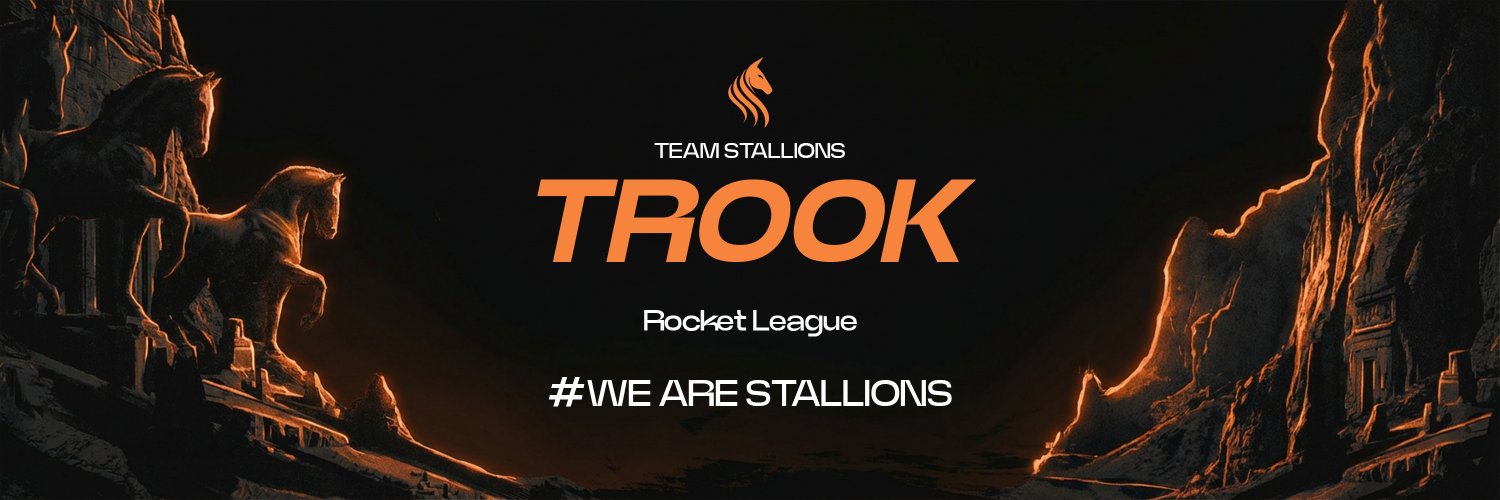STS Trook's banner