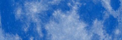 d -'s banner