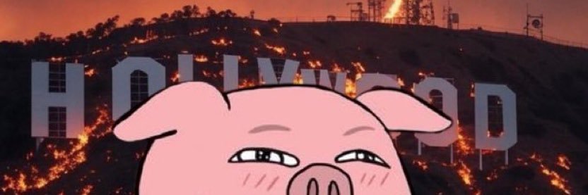 Oinktoshi 🟥🟨🟦 $BITCOIN's banner