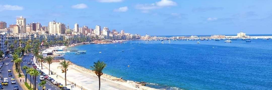 alaa saso 3's banner
