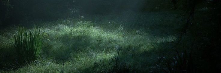 ☆ 𝔏𝔦𝔩𝔶 ✯'s banner