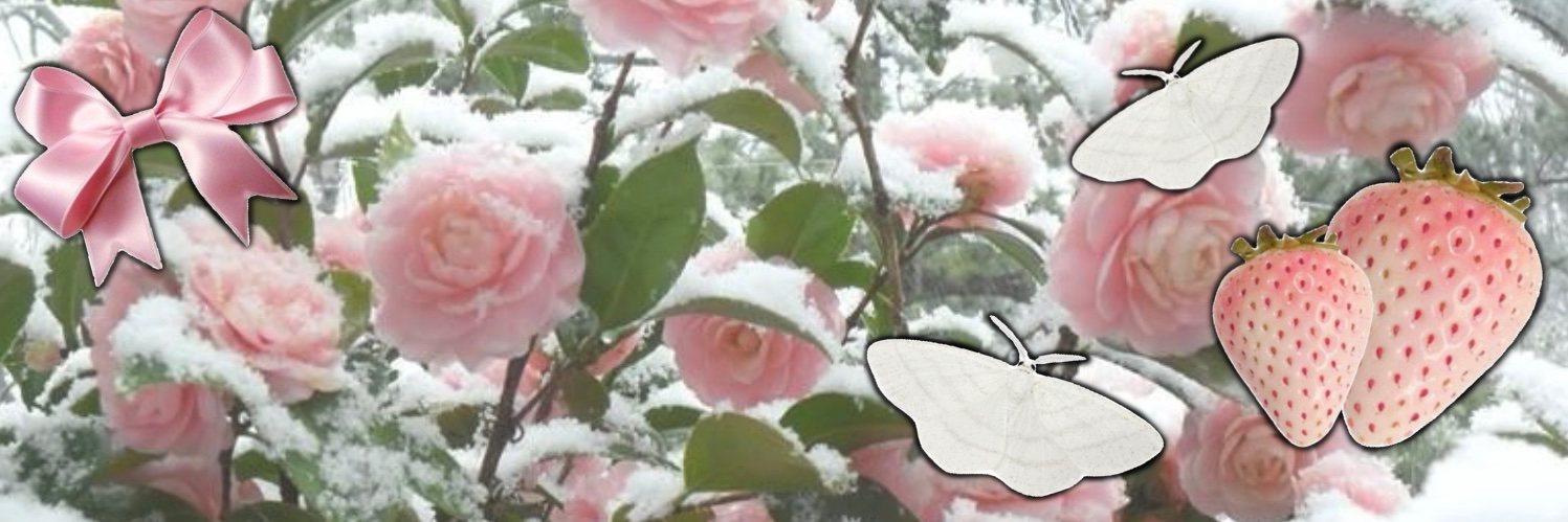 pecan 🌷's banner
