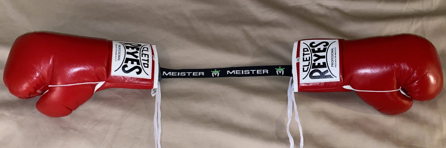 theegloveguy's banner