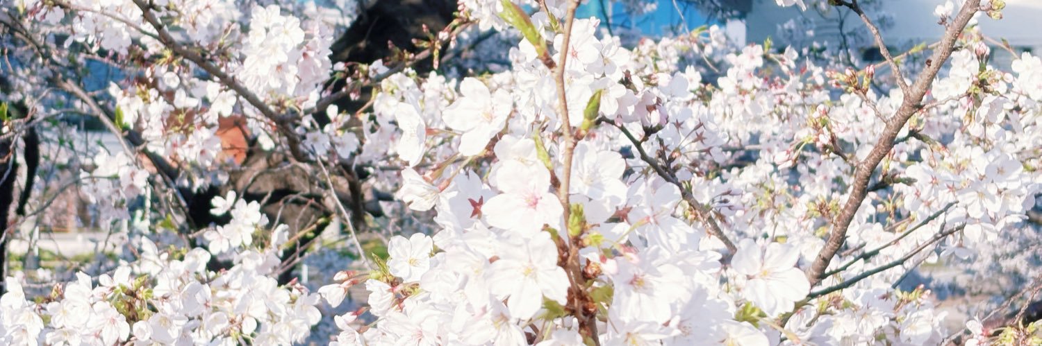 どあちゃ's banner