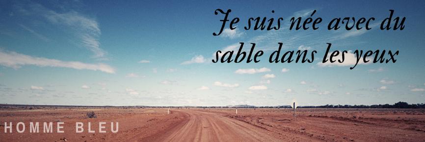 Homme bleu ⵣ's banner