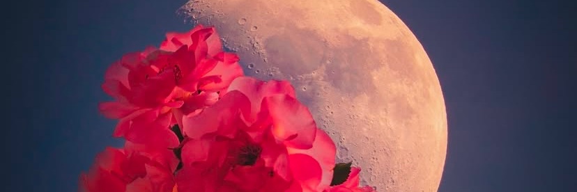 ✨DeNiz's banner