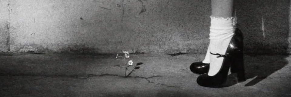 pedro ❀'s banner