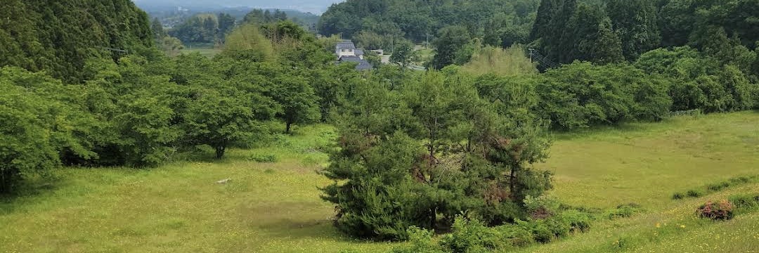鬼ヶ島 一徳 バックドロップシンデレラ's banner