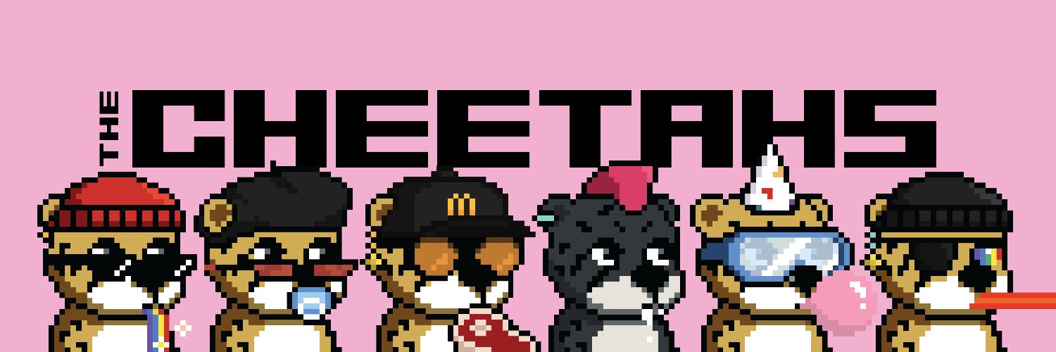 The Cheetahs's banner