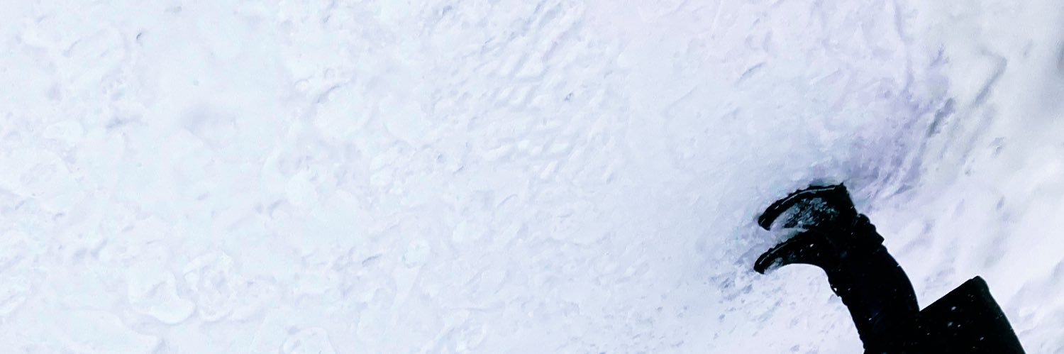 つまサらし's banner