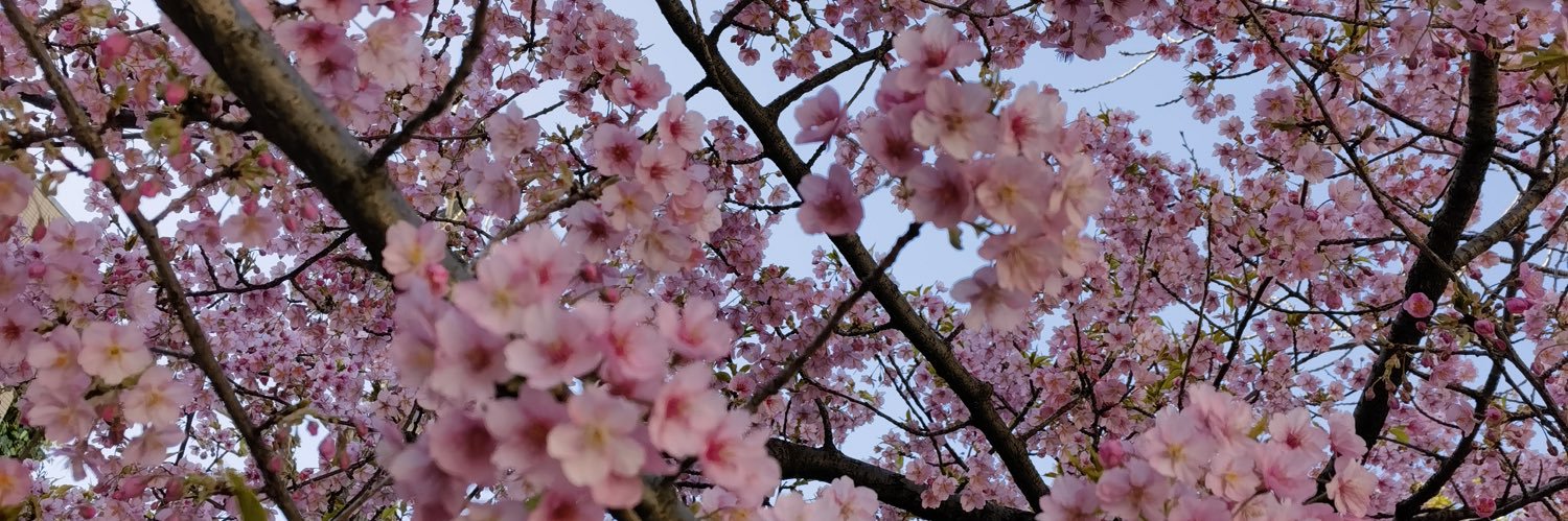 花瀬's banner