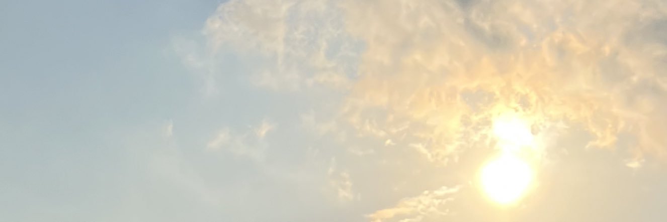 Bia's banner