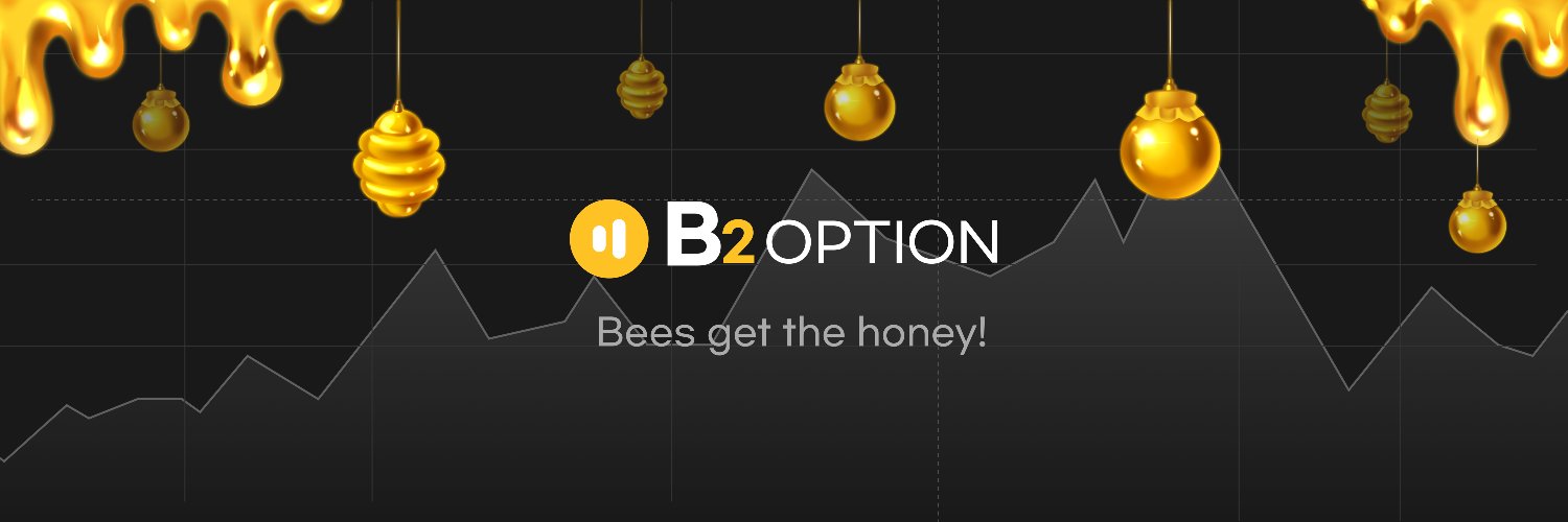 B2Options🐝 on 🐻⛓️'s banner
