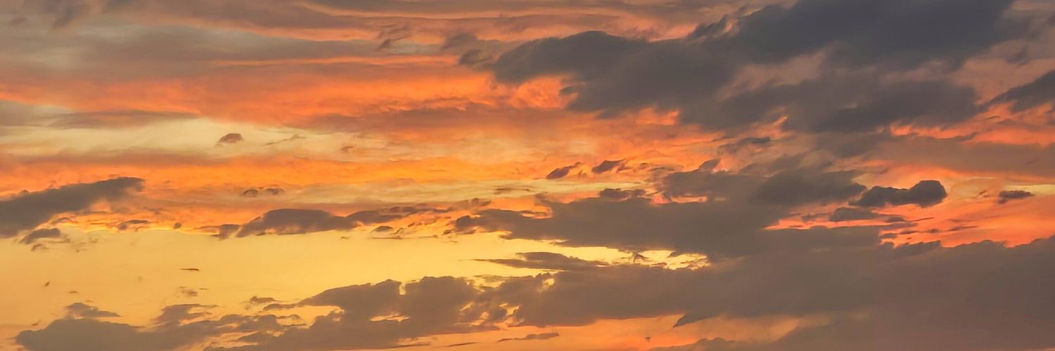 محیا با ح جیمی☀️🌻's banner